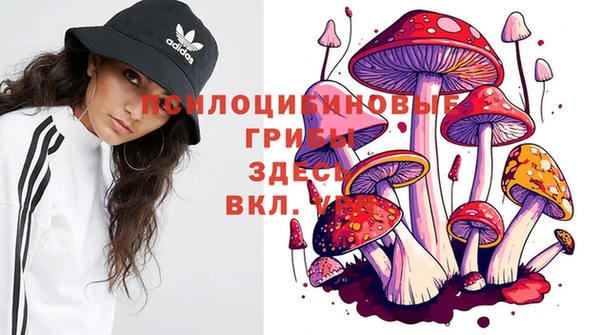 mdma Майский