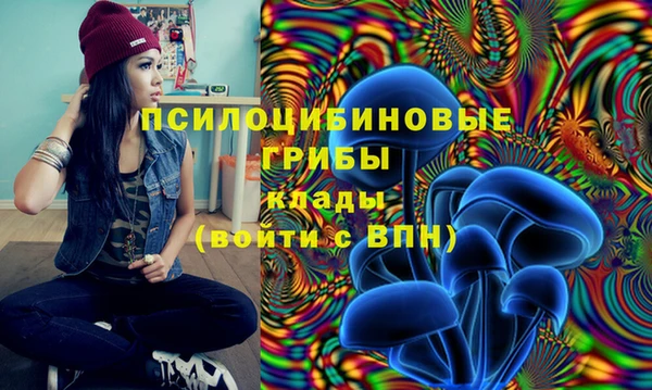герыч Магадан